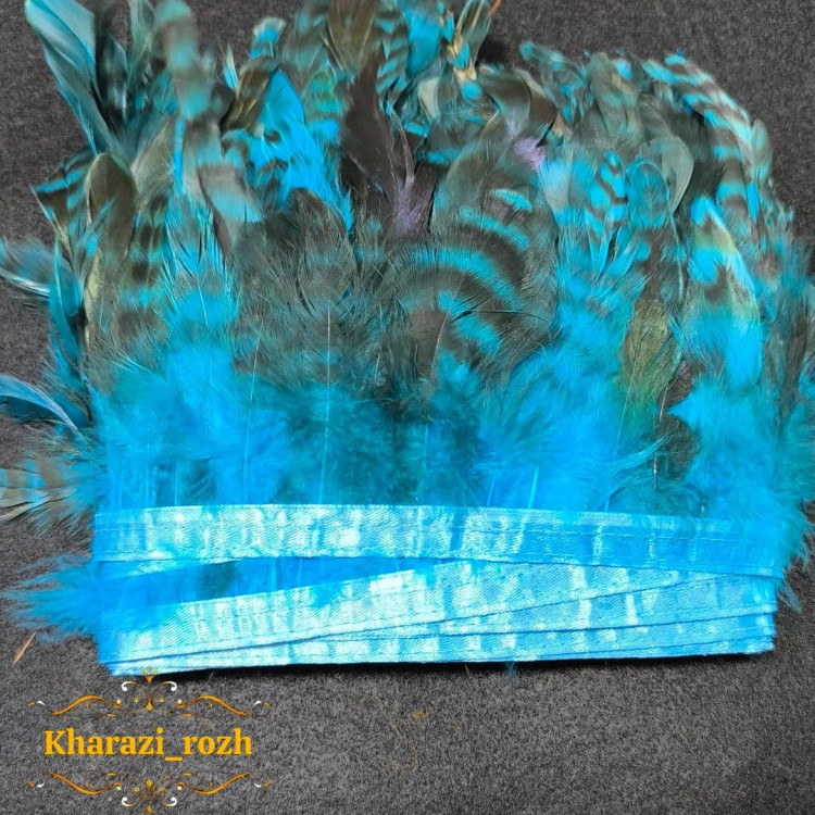 پر خروس متری