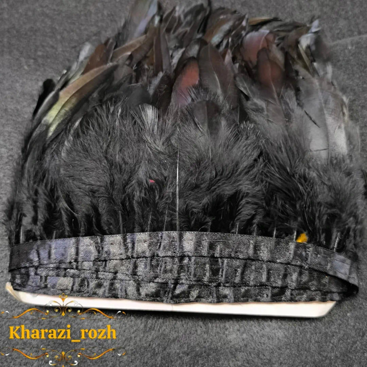 پر خروس متری