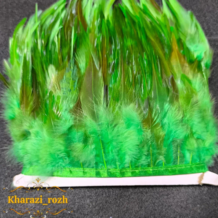 پر خروس متری