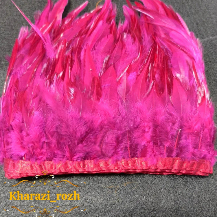 پر خروس متری