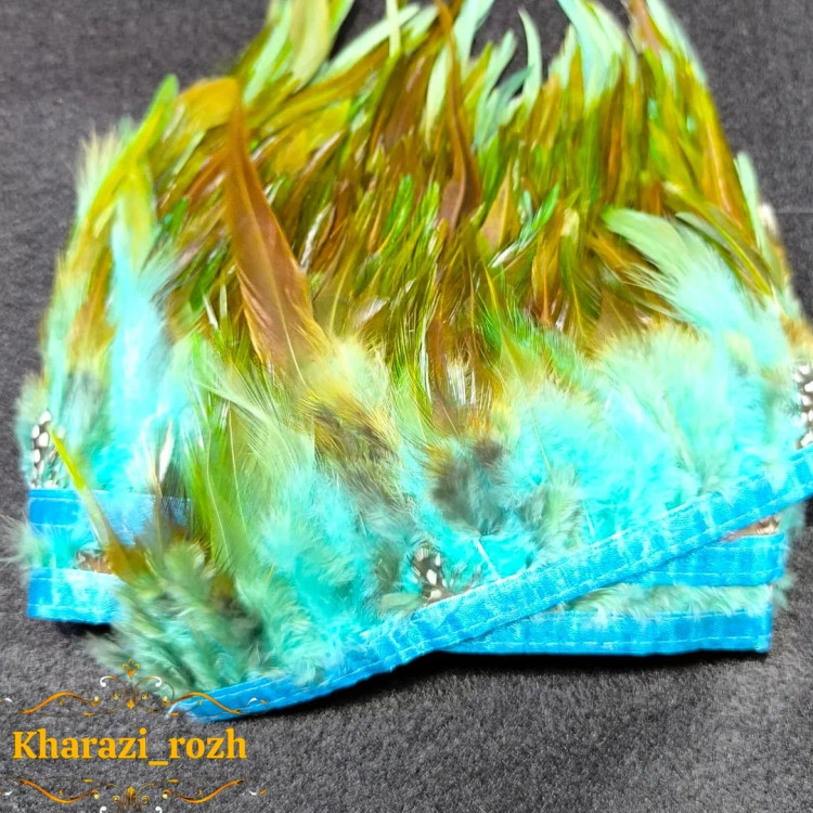 پر خروس متری
