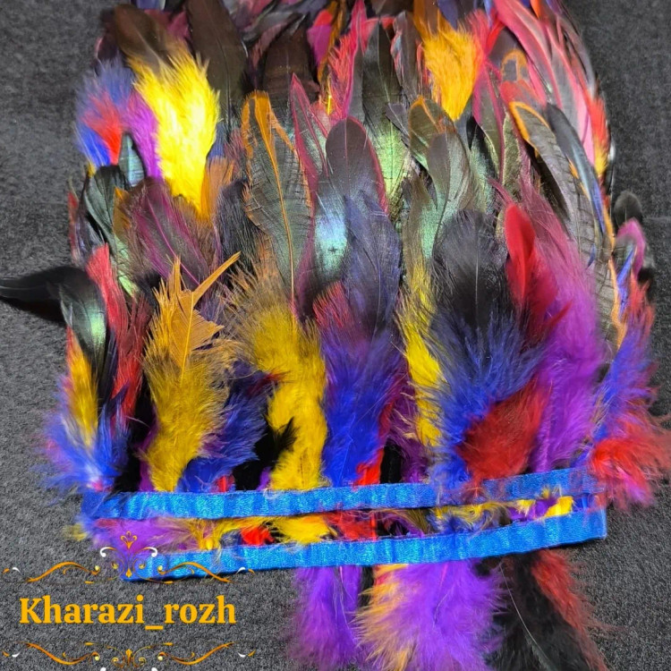 پر خروس متری