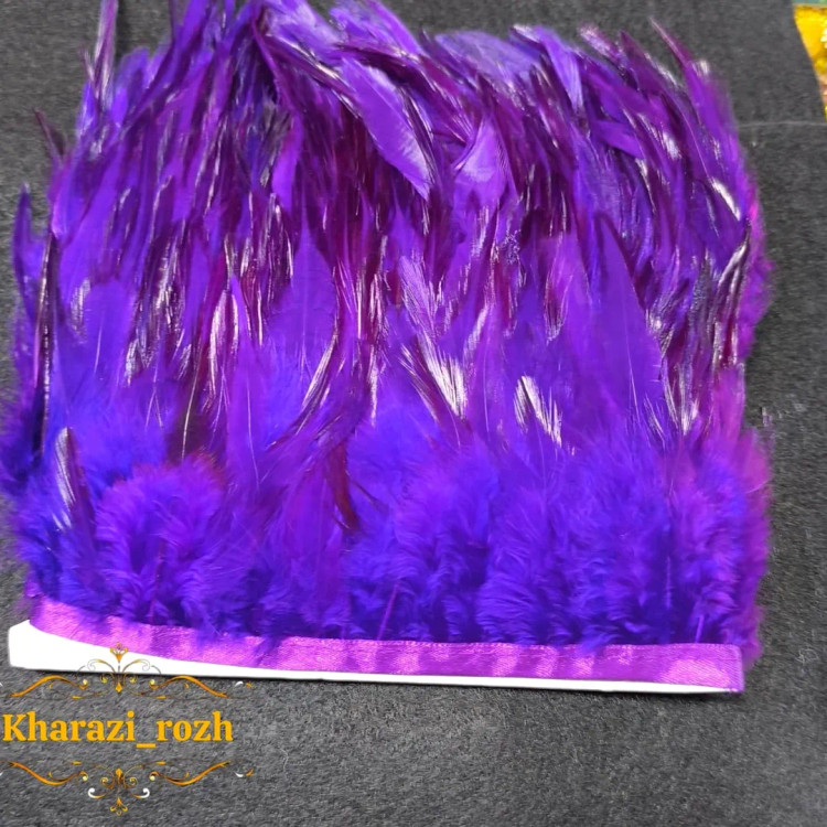 پر خروس متری