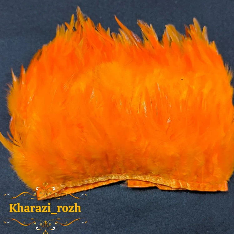 پر خروس متری