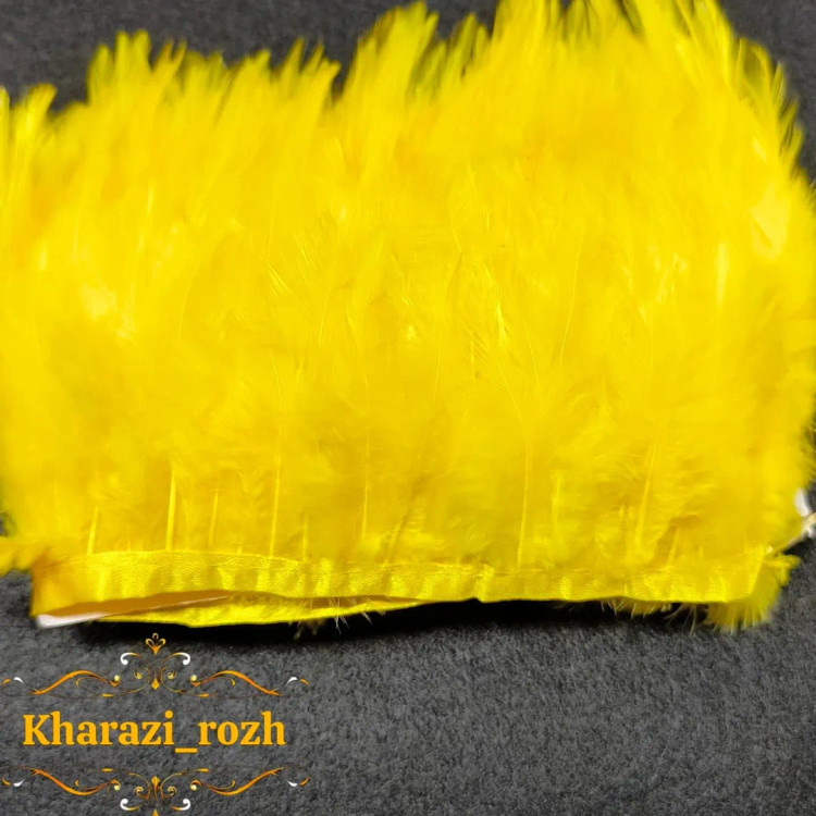 پر خروس متری