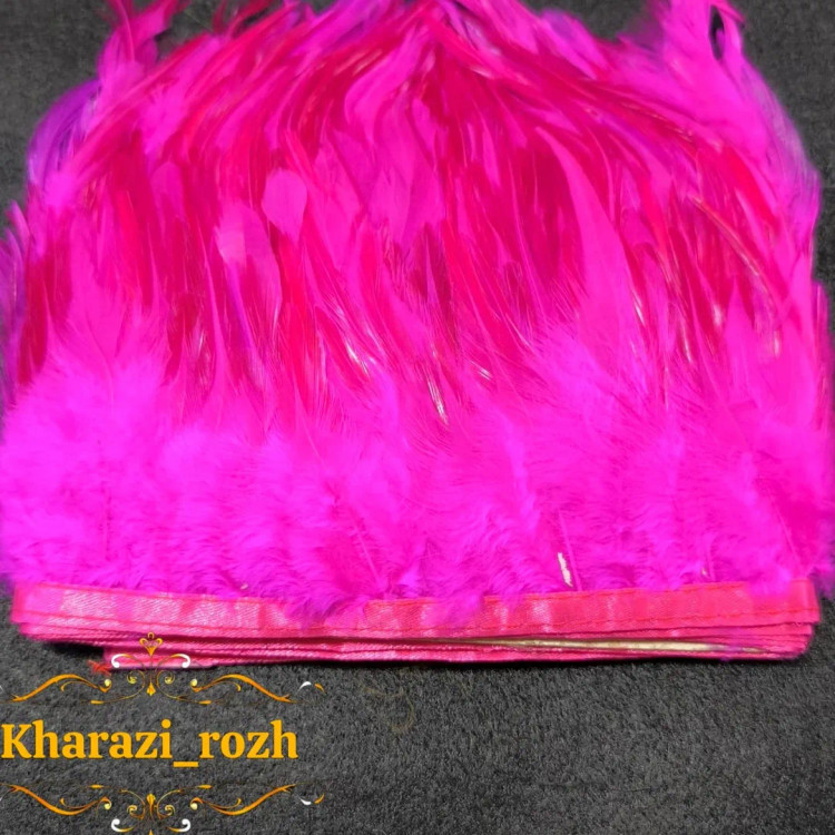 پر خروس متری
