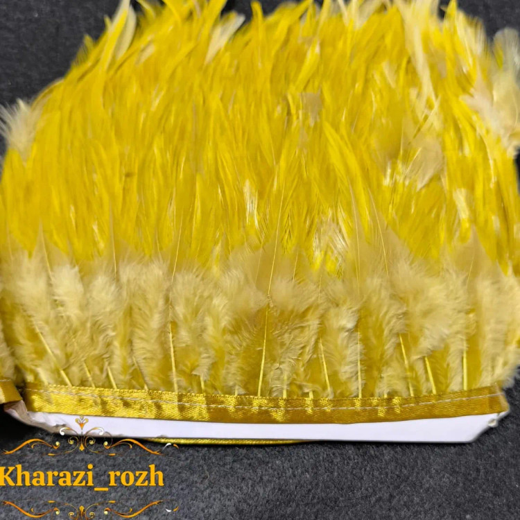 پر خروس متری