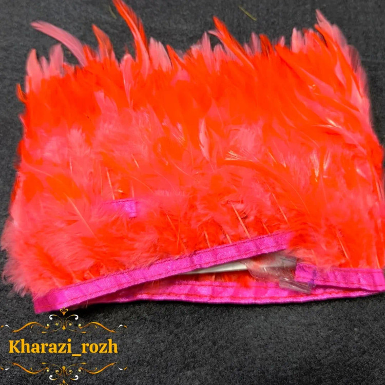 پر خروس متری