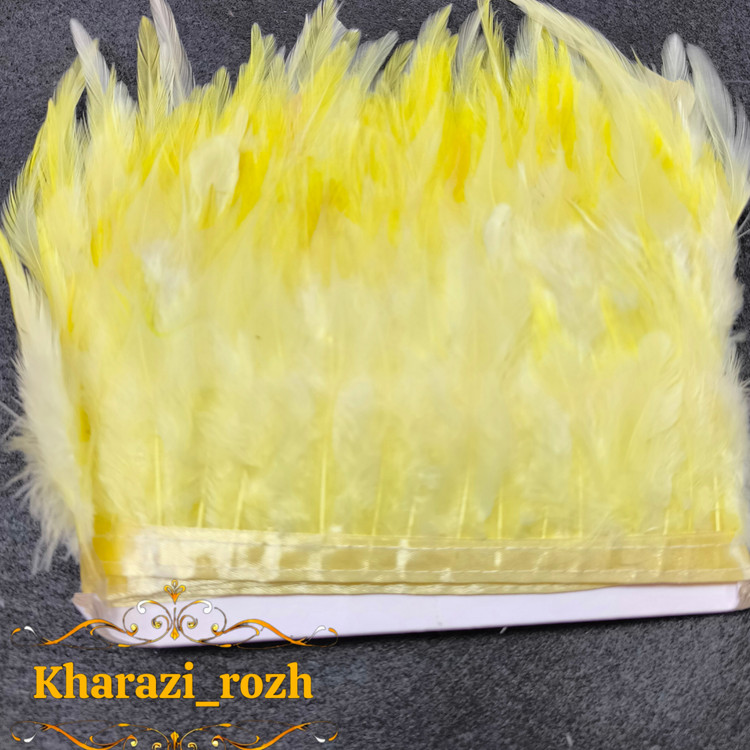 پر خروس متری