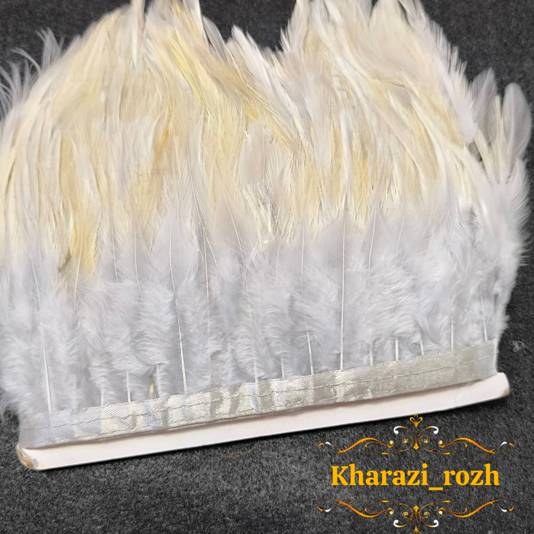 پر خروس متری
